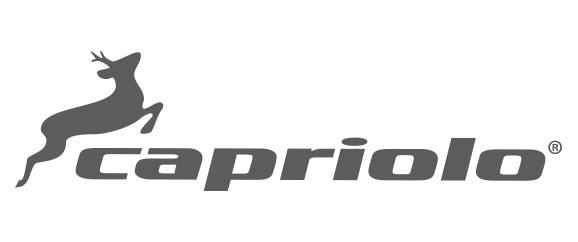 Capriolo